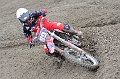 _ROB3563 (Copy)
